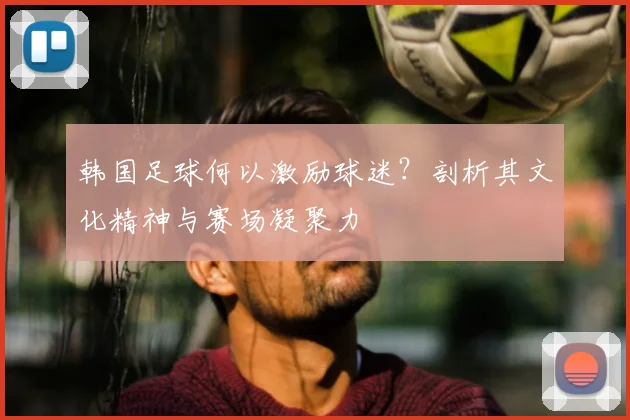 韩国足球何以激励球迷?剖析其文化精神与赛场凝聚力